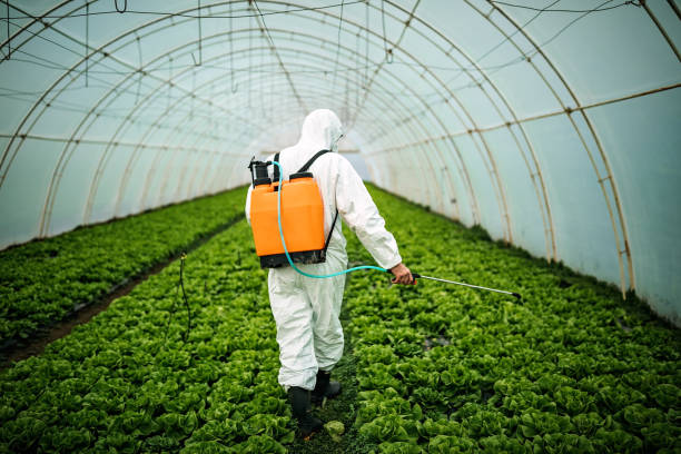 Best Pest Inspection Near Me  in Travelers Rest, SC