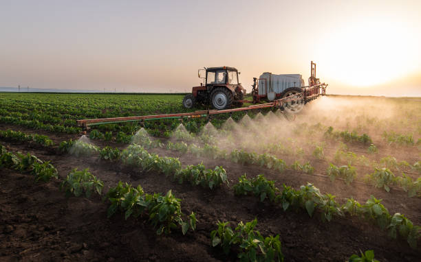 Best Commercial Pest Control Services  in Travelers Rest, SC
