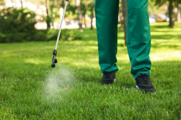Best Pest Prevention Services  in Travelers Rest, SC