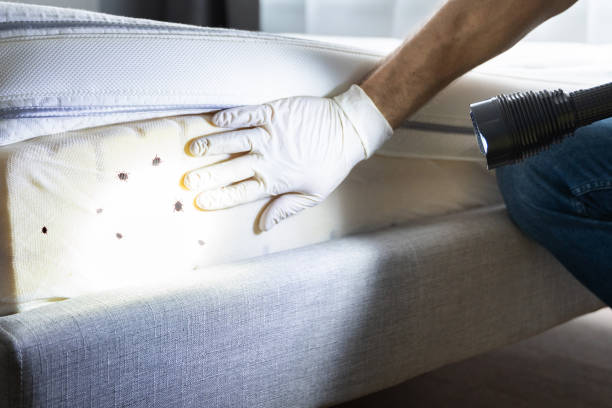 Pest Control for Restaurants in Travelers Rest, SC