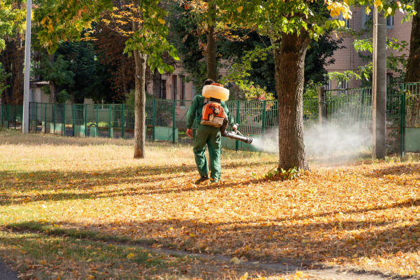 Best Pest Control Treatment  in Travelers Rest, SC