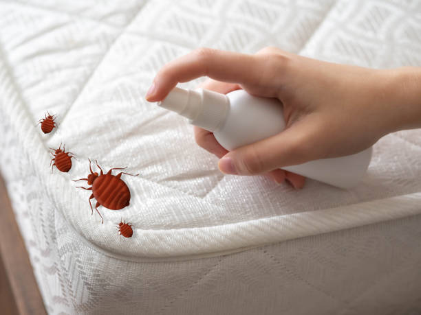 Reliable Travelers Rest, SC Pest Control Solutions
