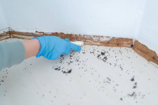 Best Residential Pest Control  in Travelers Rest, SC