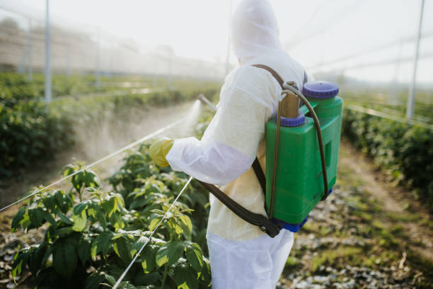 Best Emergency Pest Control  in Travelers Rest, SC
